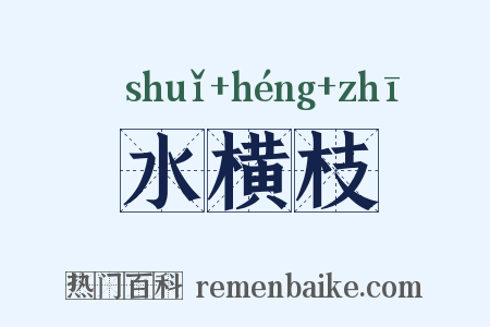 水横枝是什么意思的图片